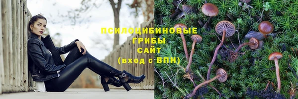 а пвп мука Алзамай