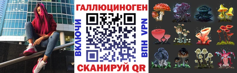Псилоцибиновые грибы Cubensis  кракен зеркало  Нелидово 